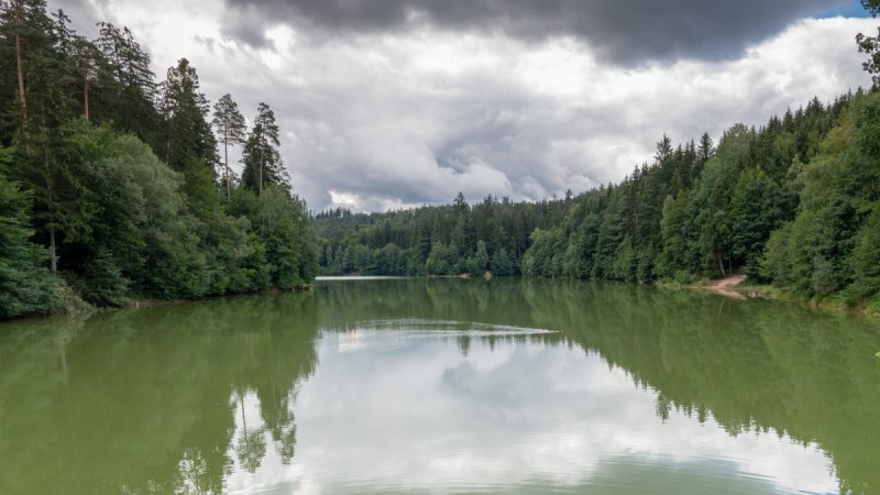 Der Herrenbachstausee in Schorndorf, umgeben von dichtem Wald und reflektiertem Himmel im Wasser. Bew&ouml;lkter Himmel sorgt f&uuml;r eine ruhige Atmosph&auml;re.