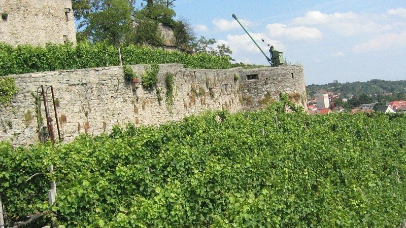 Weingut Nonnenmacher, © Weingut Nonnenmacher Weingut Nonnenmacher, © Weingut Nonnenmacher