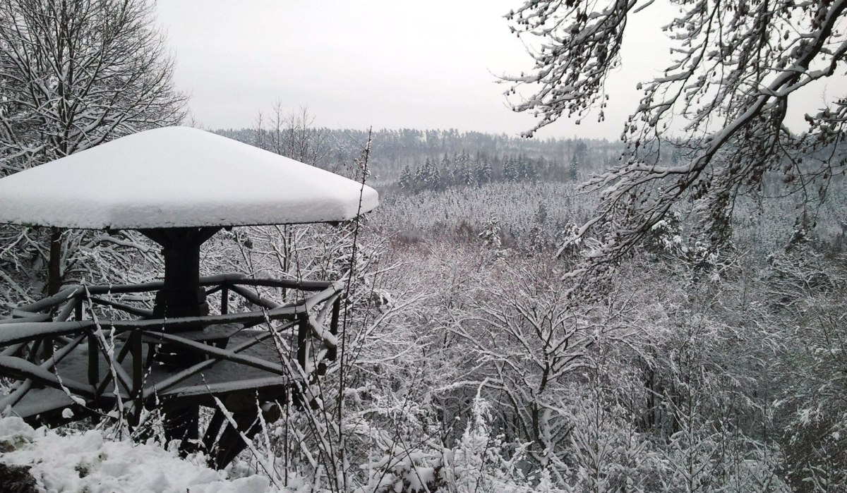 Falkenkopf im Winter, &copy; Natur.Nah. Sch&ouml;nbuch & Heckeng&auml;u