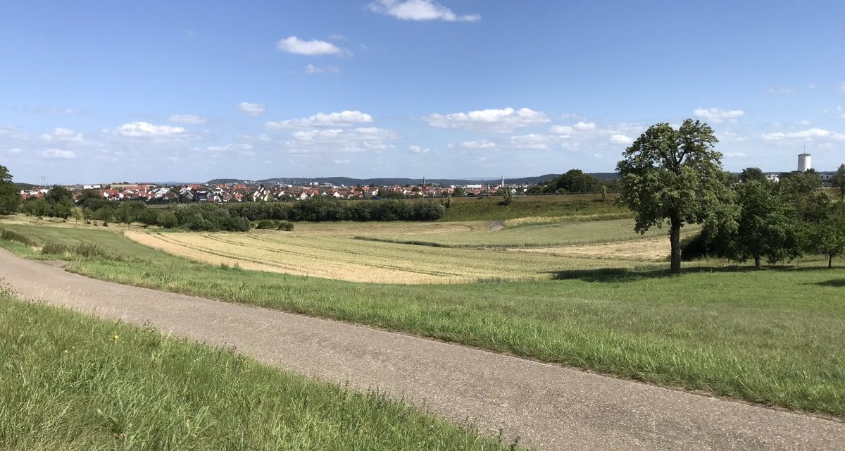 Grüne Wiesen mit einem einzelnen Baum und einem Dorf im Hintergrund unter einem klaren blauen Himmel., © Natur.Nah. Schönbuch & Heckengäu Grüne Wiesen mit einem einzelnen Baum und einem Dorf im Hintergrund unter einem klaren blauen Himmel., © Natur.Nah. Schönbuch & Heckengäu