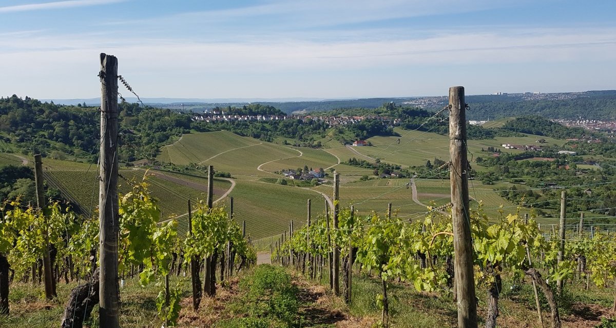 Vom Kappelberg aus blickt man über die Weinberge zur Grabkapelle Württemberg und ins Neckartal., © Remstal Tourismus e.V. Vom Kappelberg aus blickt man über die Weinberge zur Grabkapelle Württemberg und ins Neckartal., © Remstal Tourismus e.V.