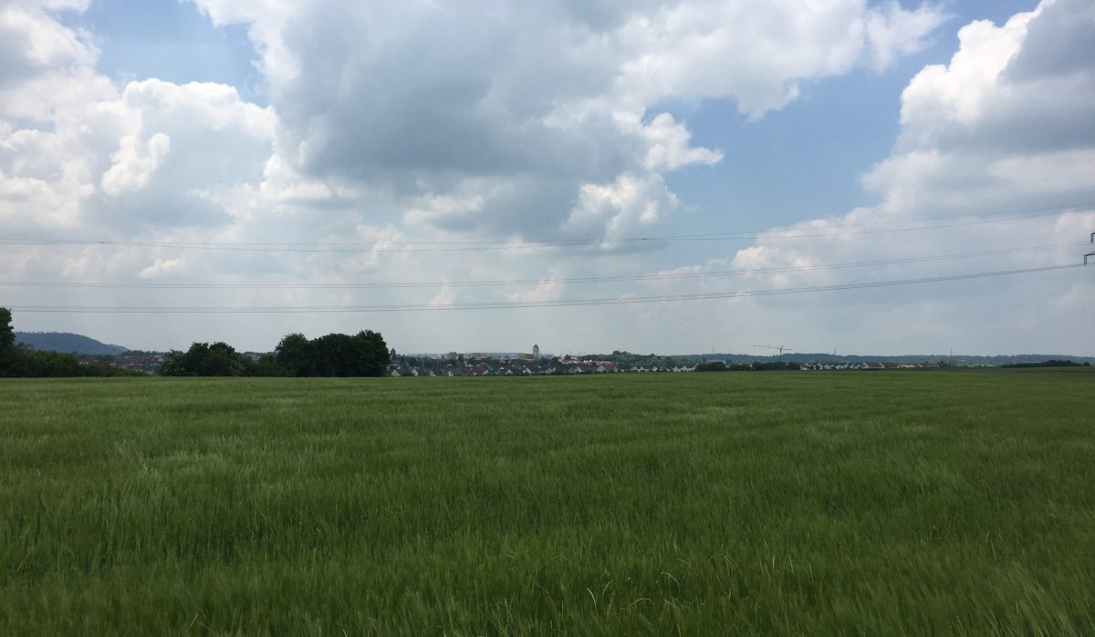 Grünes Feld mit Blick auf Gärtringen am Horizont, unter einem bewölkten Himmel., © www.pro-cycl.de Grünes Feld mit Blick auf Gärtringen am Horizont, unter einem bewölkten Himmel., © www.pro-cycl.de