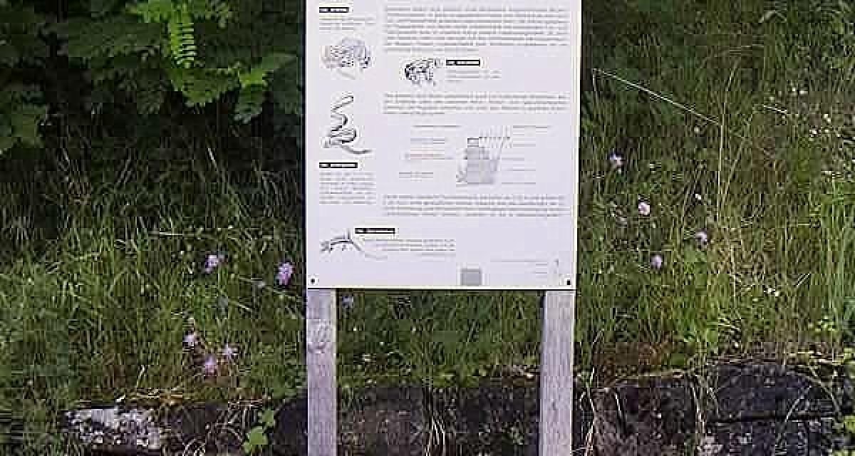 Infotafel am Geologischen Lehrpfad Korber Kopf, © Remstal Tourismus e.V. Infotafel am Geologischen Lehrpfad Korber Kopf, © Remstal Tourismus e.V.