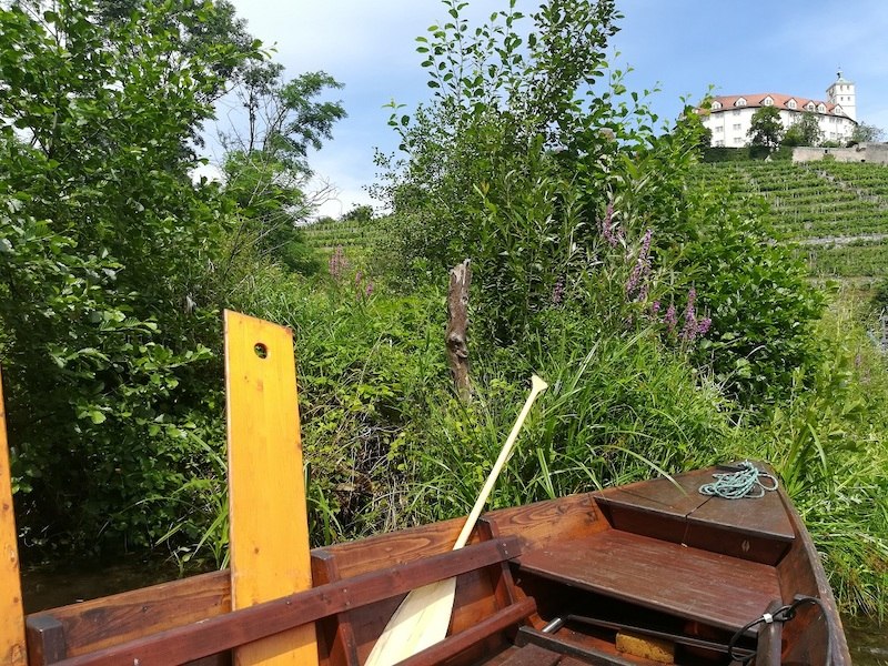 Kleine Weinkunde - gro&szlig;e Genussfahrt, &copy; Stadtverwaltung Vaihingen an der Enz