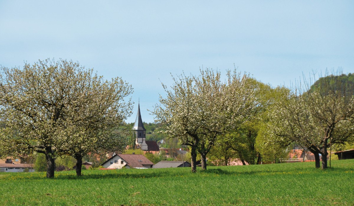 Blühende Bäume auf einer Wiese, im Hintergrund ein Kirchturm und Häuser. Der Himmel ist klar und blau., © Land der 1000 Hügel - Kraichgau-Stromberg Blühende Bäume auf einer Wiese, im Hintergrund ein Kirchturm und Häuser. Der Himmel ist klar und blau., © Land der 1000 Hügel - Kraichgau-Stromberg
