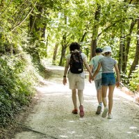 Waldweg Hohenstaufen, © TMBW