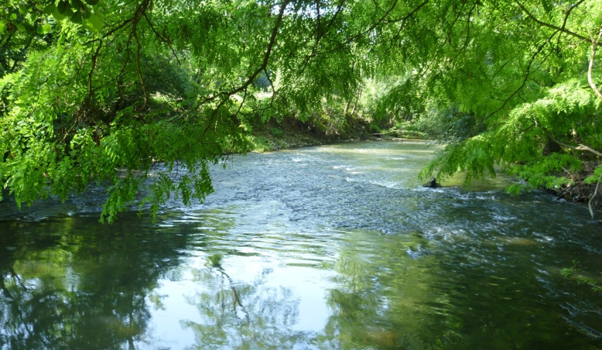 Ein ruhiger Fluss fließt durch eine grüne Landschaft, umgeben von üppigen Bäumen, die sich im Wasser spiegeln., © Remstal Tourismus e.V.