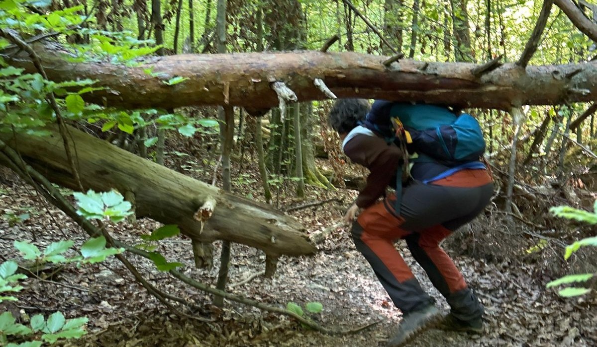 Schurwaldabenteuer Bannwald, © Kulturamt Stadt Plochingen Schurwaldabenteuer Bannwald, © Kulturamt Stadt Plochingen