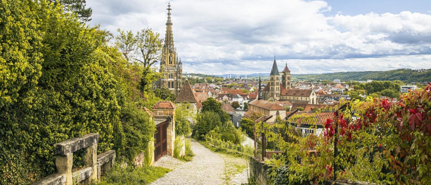 Panoramablick auf Esslingen mit Weinbergen im Vordergrund und historischen Gebäuden im Hintergrund unter einem bewölkten Himmel., © SMG, Sarah Schmid Panoramablick auf Esslingen mit Weinbergen im Vordergrund und historischen Gebäuden im Hintergrund unter einem bewölkten Himmel., © SMG, Sarah Schmid