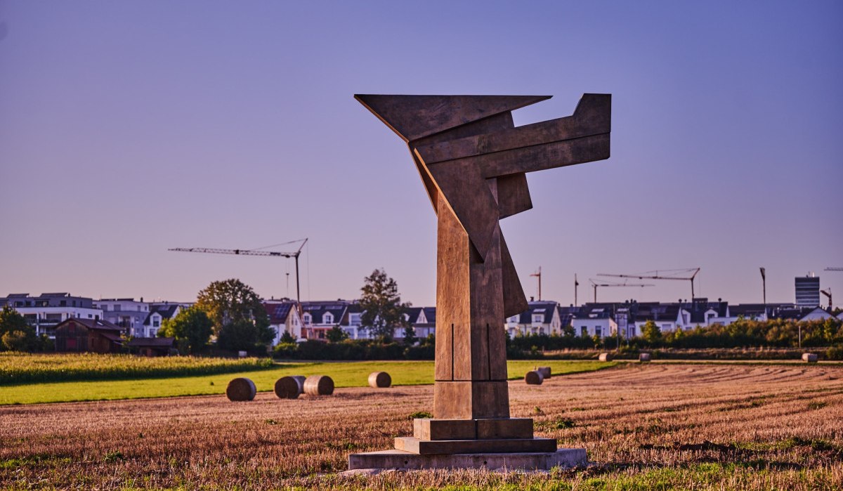 O H Hajek, &copy; Natur.Nah. Sch&ouml;nbuch & Heckeng&auml;u