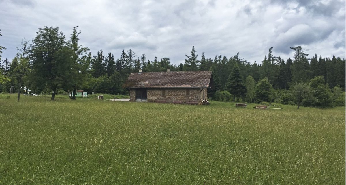 Eine einsame Scheune steht auf einer grünen Wiese, umgeben von Bäumen und einem bewölkten Himmel., © www.pro-cycl.de Eine einsame Scheune steht auf einer grünen Wiese, umgeben von Bäumen und einem bewölkten Himmel., © www.pro-cycl.de
