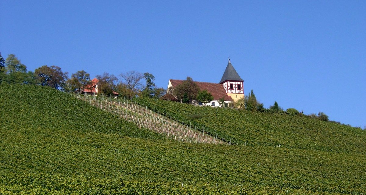 Ein Weinberg erstreckt sich über einen Hügel, auf dem eine Kirche mit spitzem Turm steht. Der Himmel ist klar und blau., © Kraichgau-Stromberg Tourismus e.V. Ein Weinberg erstreckt sich über einen Hügel, auf dem eine Kirche mit spitzem Turm steht. Der Himmel ist klar und blau., © Kraichgau-Stromberg Tourismus e.V.