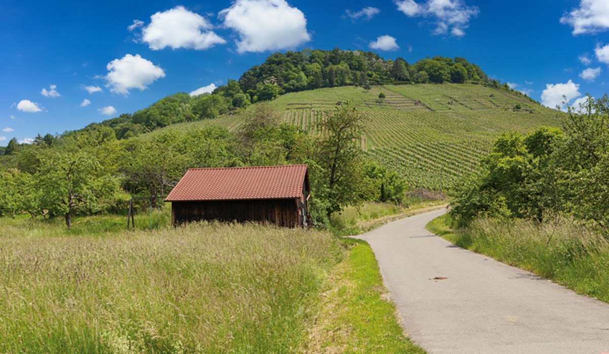 Ein kleines Holzhaus mit rotem Dach steht auf einer Wiese. Im Hintergrund sind Weinberge und ein bewaldeter Hügel zu sehen. Ein Weg führt durch die Landschaft.