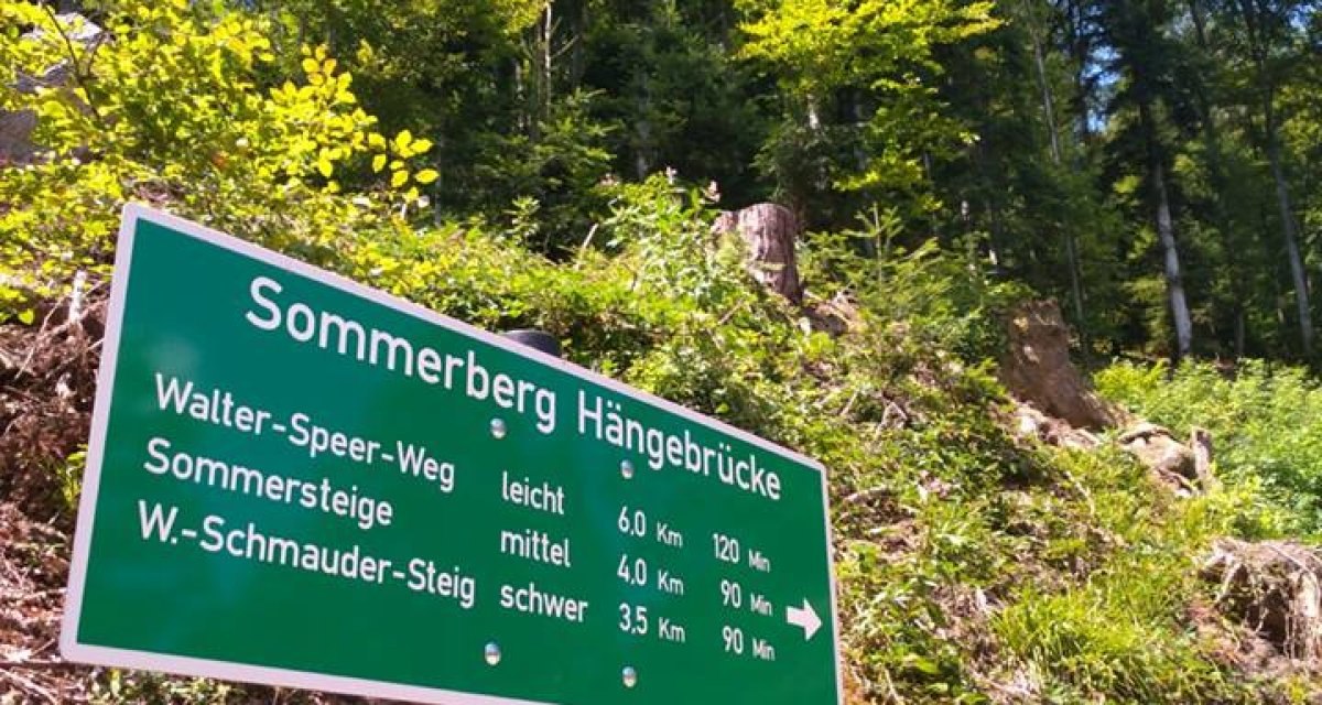 Wegweiser zur Sommerberg Hängebrücke mit drei Wanderwegen: Walter-Speer-Weg (leicht), Sommersteige (mittel), W.-Schmauder-Steig (schwer) im Wald., © Nördlicher Schwarzwald Wegweiser zur Sommerberg Hängebrücke mit drei Wanderwegen: Walter-Speer-Weg (leicht), Sommersteige (mittel), W.-Schmauder-Steig (schwer) im Wald., © Nördlicher Schwarzwald