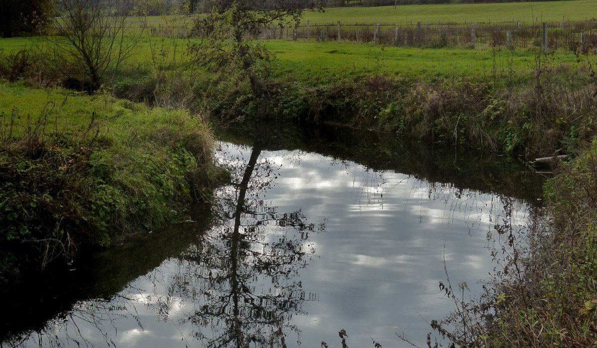 Ein ruhiger Fluss fließt durch eine grüne Landschaft, umgeben von Bäumen und Hügeln im Hintergrund., © Natur.Nah. Schönbuch & Heckengäu
