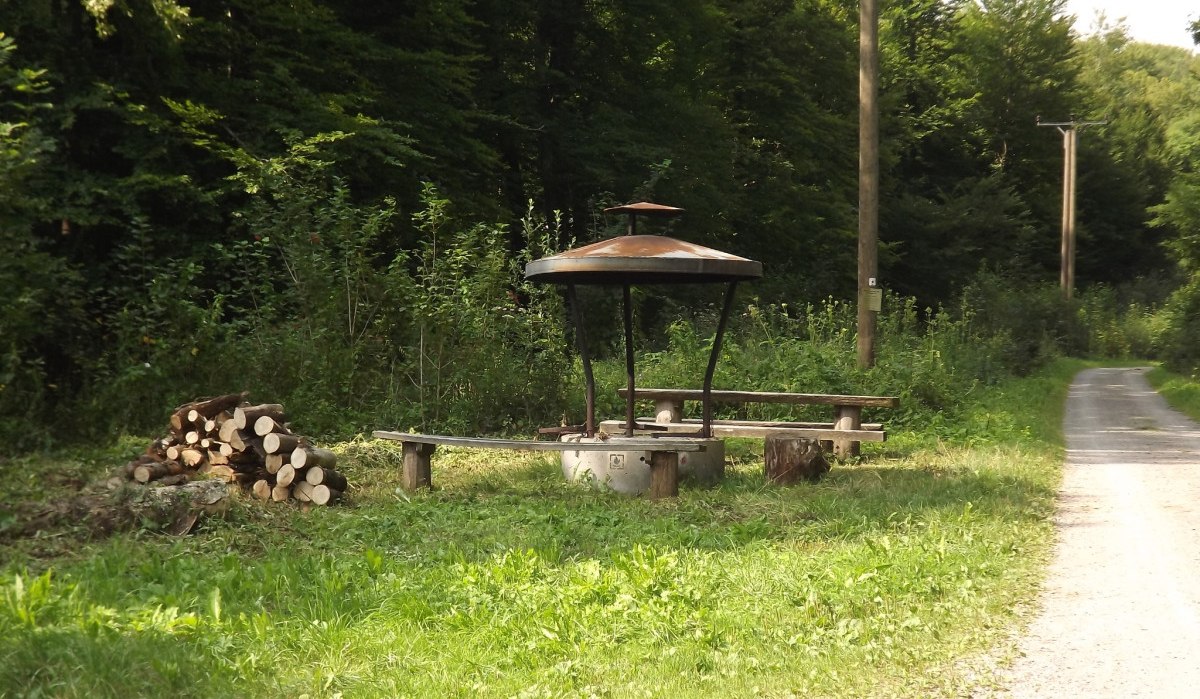 Ein Grillplatz mit Holzb&auml;nken und einem Holzstapel am Rand eines Waldwegs, umgeben von dichtem Wald., &copy; Natur.Nah. Sch&ouml;nbuch & Heckeng&auml;u