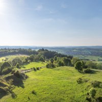 Weite Landschaft mit grünen Hügeln und Wäldern unter klarem Himmel, im Hintergrund eine Stadt. Die Sonne scheint hell., © Stuttgart-Marketing GmbH, Martina Denker