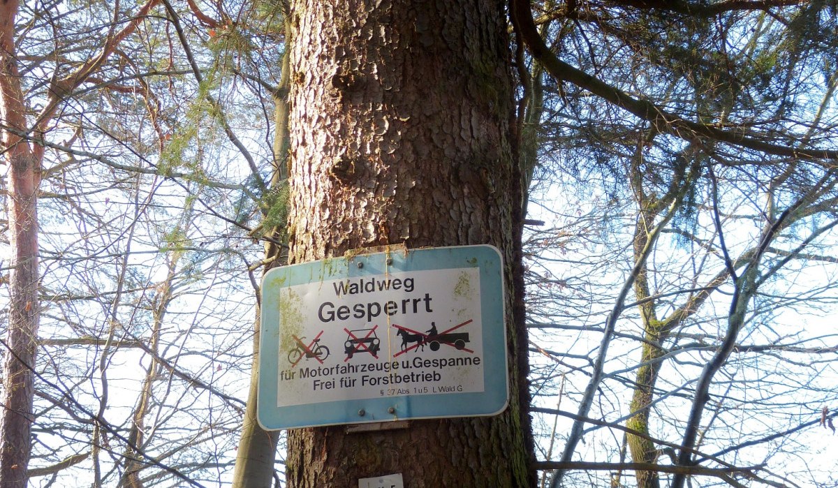 Ein Baum mit Schildern: 'Würmhaldenweg', 'Waldweg gesperrt' und Wanderwegmarkierungen HW5 und gelbe Raute., © Natur.Nah. Schönbuch & Heckengäu