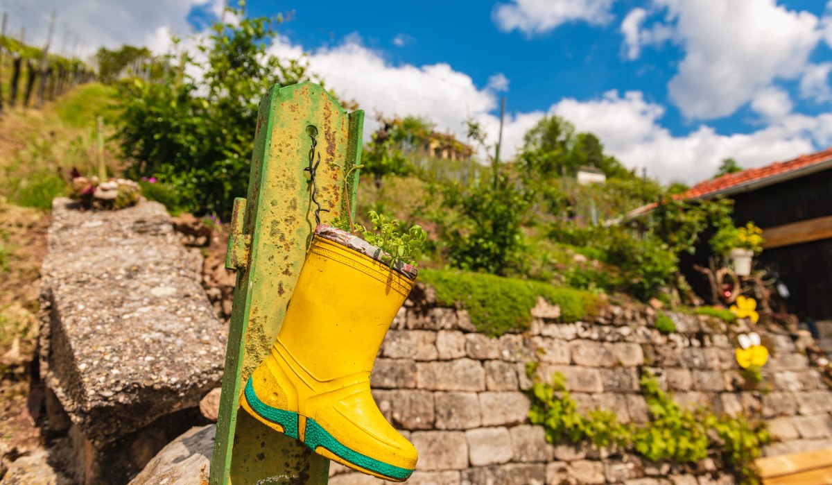 Ein gelber Gummistiefel dient als Pflanzgefäß an einem grünen Pfosten. Im Hintergrund sind Weinberge und eine Steinmauer zu sehen, unter blauem Himmel., © Stadtverwaltung Schorndorf Ein gelber Gummistiefel dient als Pflanzgefäß an einem grünen Pfosten. Im Hintergrund sind Weinberge und eine Steinmauer zu sehen, unter blauem Himmel., © Stadtverwaltung Schorndorf