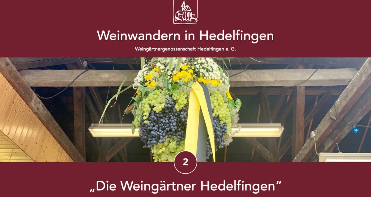 Trauben und Blumen hängen dekorativ in einer Scheune. Oben steht 'Weinwandern in Hedelfingen', unten 'Die Weingärtner Hedelfingen'., © Lukas Alperowitz Trauben und Blumen hängen dekorativ in einer Scheune. Oben steht 'Weinwandern in Hedelfingen', unten 'Die Weingärtner Hedelfingen'., © Lukas Alperowitz