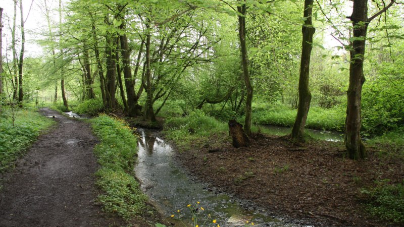 Letztes Stück am Deutenbach Letztes Stück am Deutenbach