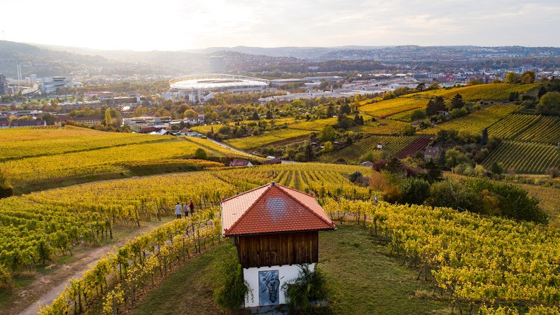 Weinberge im Vordergrund mit einem kleinen Geb&auml;ude. Im Hintergrund ist eine Stadtlandschaft mit Stadion und H&uuml;geln zu sehen., &copy; Weingut W&ouml;hrwag