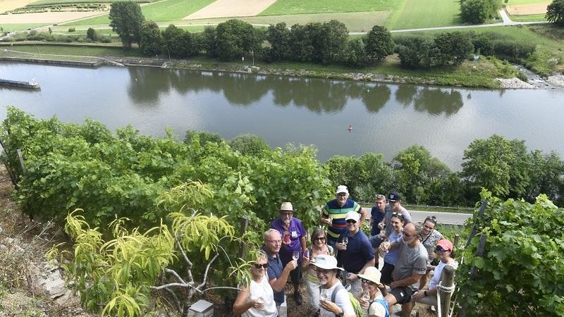 Große Weinbergtour: Steil gehen und genießen - Wanderung mit Weinverkostung, © Tourist Information Ludwigsburg Große Weinbergtour: Steil gehen und genießen - Wanderung mit Weinverkostung, © Tourist Information Ludwigsburg