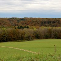 Grüne Weidefläche vor einem herbstlich gefärbten Wald und Hügeln, unter einem bewölkten Himmel., © Bad Urach Tourismus