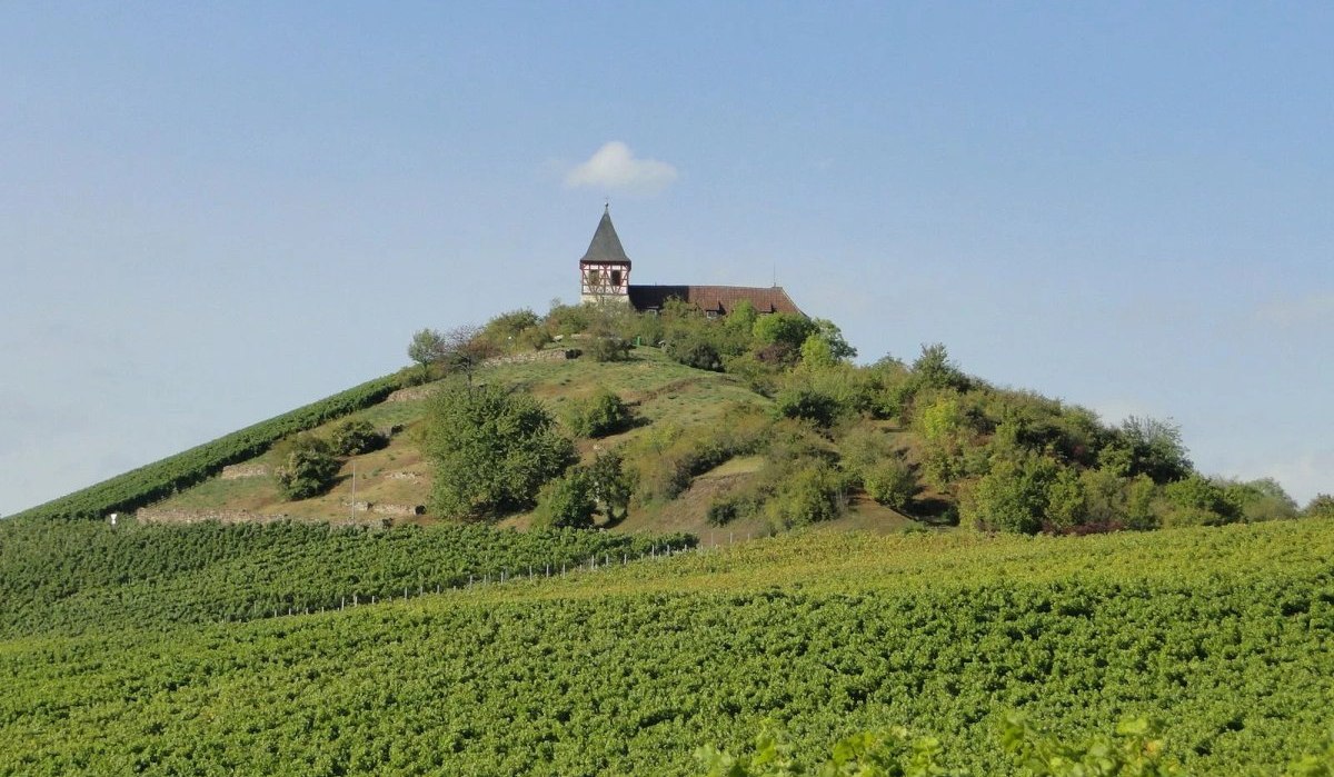 CB1 Wanderdreiklang Cleebronn | Wanderdreiklang | Blick auf den Michaelsberg mit Michaelskirche, © Neckar-Zaber-Tourismus e.V. CB1 Wanderdreiklang Cleebronn | Wanderdreiklang | Blick auf den Michaelsberg mit Michaelskirche, © Neckar-Zaber-Tourismus e.V.