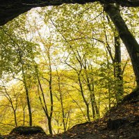 Blick aus einer Höhle auf einen herbstlichen Wald. Die Bäume sind mit gelben Blättern bedeckt, und der Höhleneingang ist von Felsen umrahmt., © Stuttgart-Marketing GmbH, Sarah Schmid