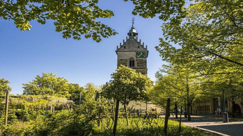 Ein Kirchturm in Fellbach ragt zwischen grünen Bäumen empor, unter einem klaren blauen Himmel. Die Umgebung wirkt friedlich und einladend., © SMG, Sarah Schmid