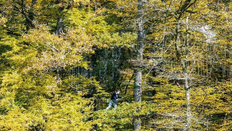 Eine Person balanciert auf einem Hochseilgarten zwischen herbstlich gef&auml;rbten B&auml;umen im Schmellbachtal, Leinfelden-Echterdingen., &copy; Stuttgart-Marketing GmbH, Sarah Schmid