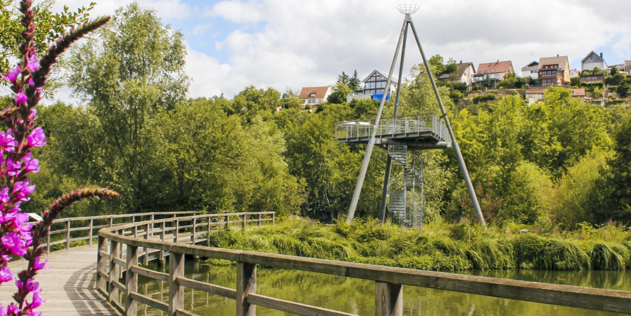 Ein Holzsteg führt durch das grüne Neckar-Biotop in Ludwigsburg. Ein moderner Aussichtsturm und Häuser sind im Hintergrund zu sehen., © SMG, Ellen Haeffner Ein Holzsteg führt durch das grüne Neckar-Biotop in Ludwigsburg. Ein moderner Aussichtsturm und Häuser sind im Hintergrund zu sehen., © SMG, Ellen Haeffner