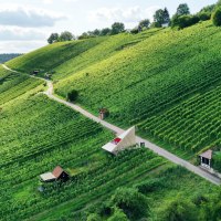 Grüne Weinberge am Grafenberg in Schorndorf, durchzogen von einem Weg. Kleine Gebäude sind zwischen den Reben verteilt., © Bebop Media