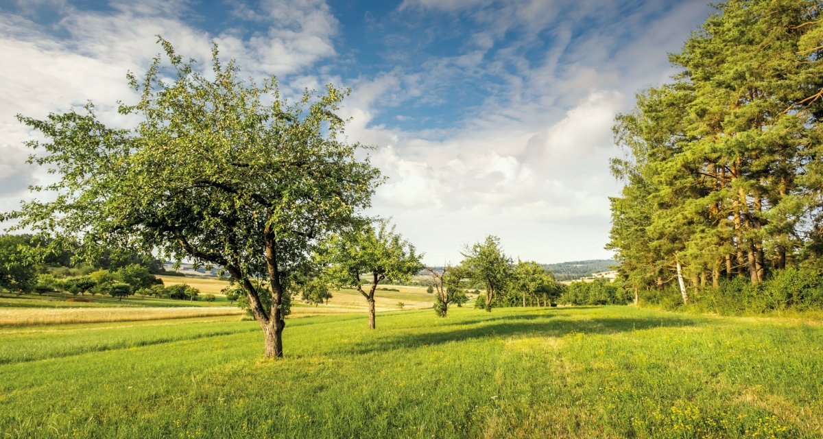 © Natur.Nah. Schönbuch & Heckengäu © Natur.Nah. Schönbuch & Heckengäu