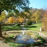 Ein herbstlicher Park mit bunten B&auml;umen, einem kleinen Teich mit Springbrunnen und einem gepflasterten Weg. Die Sonne scheint hell am blauen Himmel.
