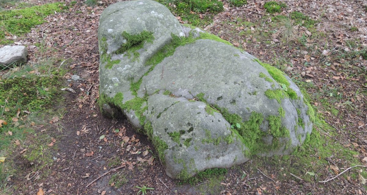 Ein moosbedeckter Felsen im Wald, der wie ein Sessel geformt ist. Der Boden ist mit Laub und Moos bedeckt., © Land der 1000 Hügel - Kraichgau-Stromberg Ein moosbedeckter Felsen im Wald, der wie ein Sessel geformt ist. Der Boden ist mit Laub und Moos bedeckt., © Land der 1000 Hügel - Kraichgau-Stromberg
