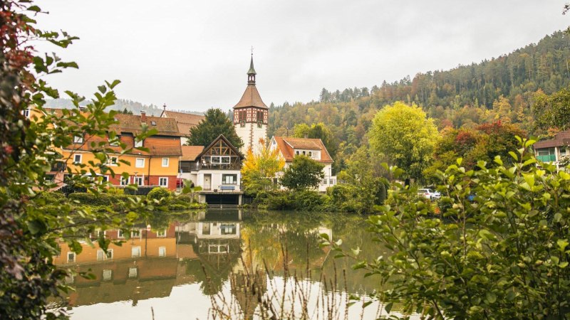 Stadtsee in Bad Liebenzell mit bunten Häusern und Kirchturm, umgeben von herbstlichen Bäumen. Spiegelung im Wasser, umrahmt von grünen Büschen., © SMG, Sarah Schmid Stadtsee in Bad Liebenzell mit bunten Häusern und Kirchturm, umgeben von herbstlichen Bäumen. Spiegelung im Wasser, umrahmt von grünen Büschen., © SMG, Sarah Schmid