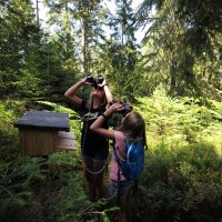 Zwei Kinder stehen im Wald auf dem Auerhahnsteig und schauen durch Ferngläser. Neben ihnen befindet sich eine hölzerne Infostation., © Nördlicher Schwarzwald Zwei Kinder stehen im Wald auf dem Auerhahnsteig und schauen durch Ferngläser. Neben ihnen befindet sich eine hölzerne Infostation., © Nördlicher Schwarzwald