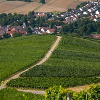 Weinberge im Vordergrund, ein Dorf mit roten Dächern im Hintergrund. Eine Straße schlängelt sich durch die grünen Felder., © Stuttgart-Marketing GmbH