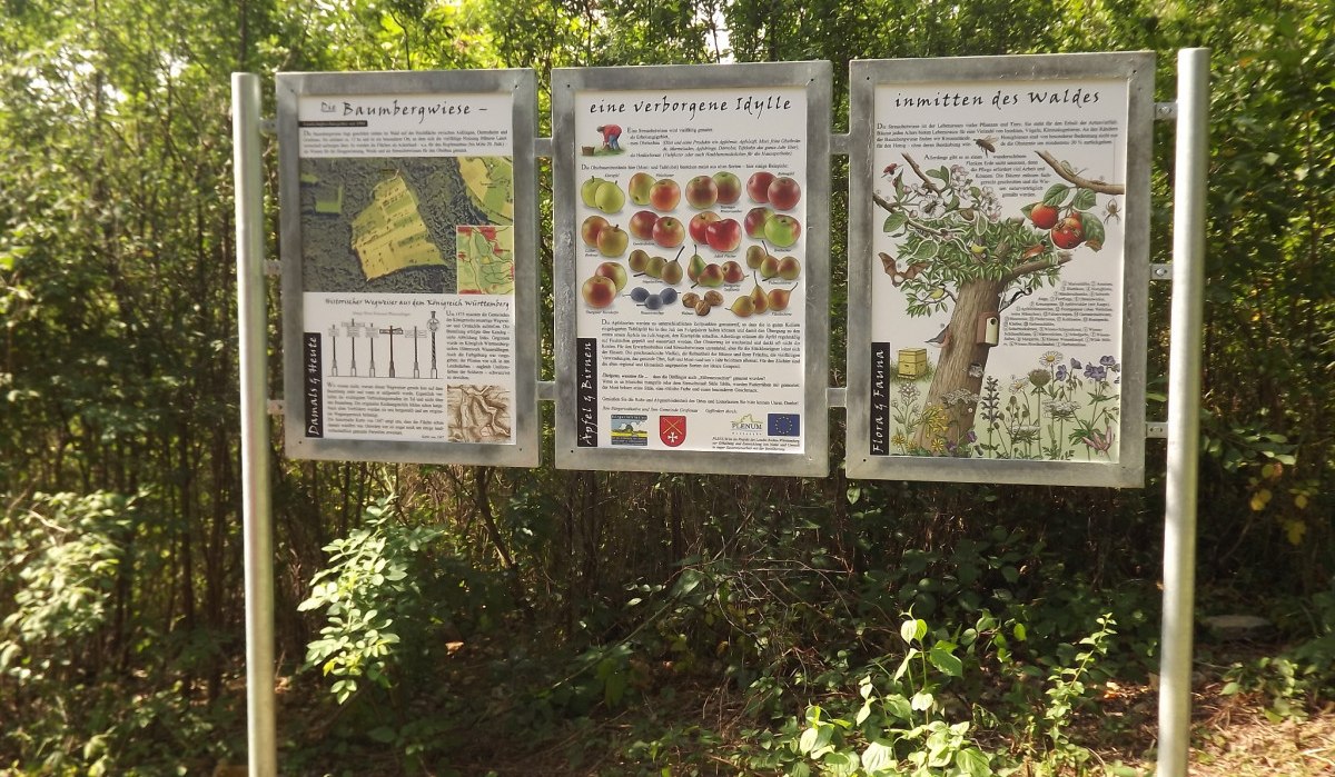 Drei Informationstafeln im Freien, die über die Baumbergwiese, eine verborgene Idylle und die Natur im Wald informieren. Umgeben von Bäumen und Sträuchern., © Natur.Nah. Schönbuch & Heckengäu Drei Informationstafeln im Freien, die über die Baumbergwiese, eine verborgene Idylle und die Natur im Wald informieren. Umgeben von Bäumen und Sträuchern., © Natur.Nah. Schönbuch & Heckengäu