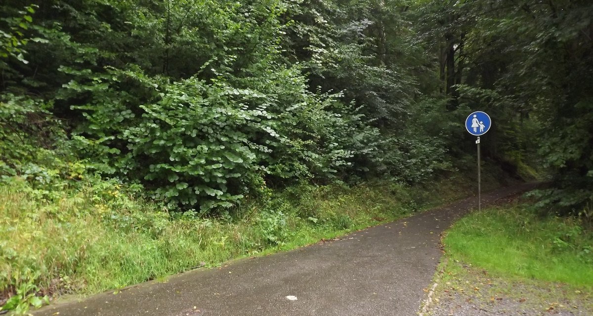 Ein schmaler, asphaltierter Weg führt durch einen grünen Wald. Ein blaues Fußgängerweg-Schild steht am Rand., © Natur.Nah. Schönbuch & Heckengäu Ein schmaler, asphaltierter Weg führt durch einen grünen Wald. Ein blaues Fußgängerweg-Schild steht am Rand., © Natur.Nah. Schönbuch & Heckengäu