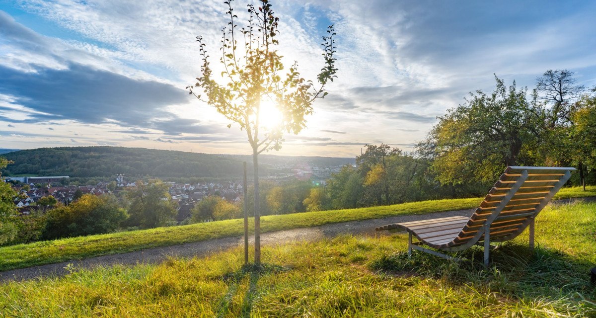 Sonnenuntergang über einer grünen Wiese mit Holzliege und jungem Baum, im Hintergrund eine Stadtlandschaft und bewaldete Hügel., © Martina Denker Stuttgart Marketing GmbH