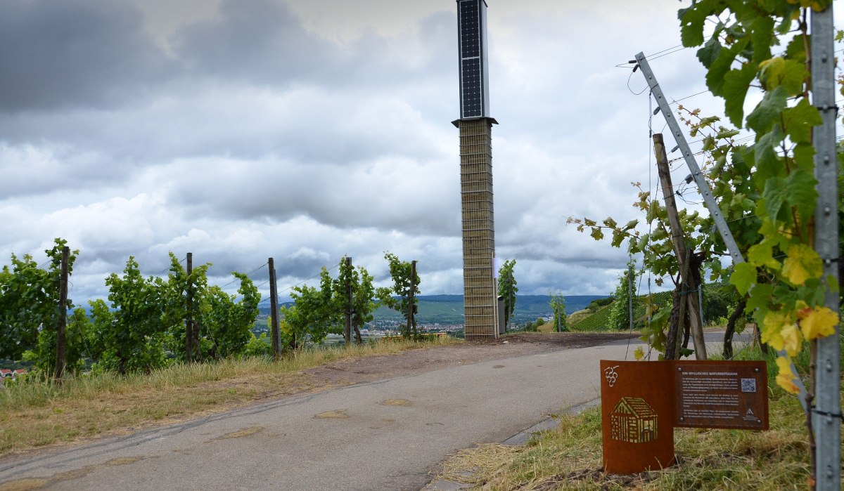 Ein Weg durch Weinberge mit einer hohen Solarsäule und einer Infotafel. Der Himmel ist bewölkt, und die Landschaft ist grün und hügelig., © Remstal Tourismus e.V. Ein Weg durch Weinberge mit einer hohen Solarsäule und einer Infotafel. Der Himmel ist bewölkt, und die Landschaft ist grün und hügelig., © Remstal Tourismus e.V.