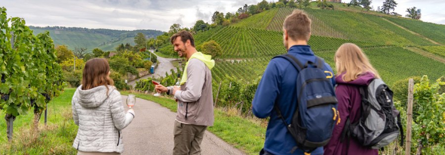 Unser Ausflugstipp: Hinauf in die Weinberge! - Urlaubsregion Stuttgart