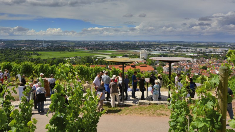 Menschen stehen auf einer Terrasse inmitten von Weinbergen und genießen den weiten Blick über die Stadt Fellbach und die umliegende Landschaft., © Simone Mathias Menschen stehen auf einer Terrasse inmitten von Weinbergen und genießen den weiten Blick über die Stadt Fellbach und die umliegende Landschaft., © Simone Mathias