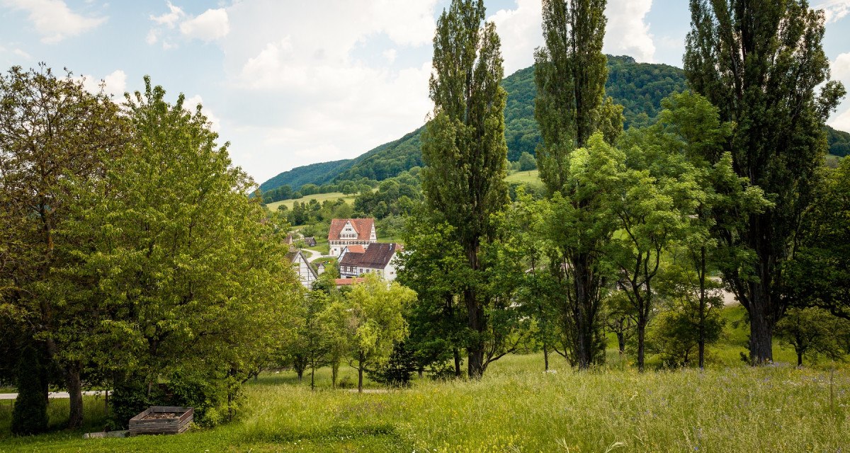 Grüne Wiese mit Bäumen im Vordergrund, dahinter ein Dorf mit Fachwerkhäusern und ein bewaldeter Hügel unter blauem Himmel., © hochgehberge Grüne Wiese mit Bäumen im Vordergrund, dahinter ein Dorf mit Fachwerkhäusern und ein bewaldeter Hügel unter blauem Himmel., © hochgehberge