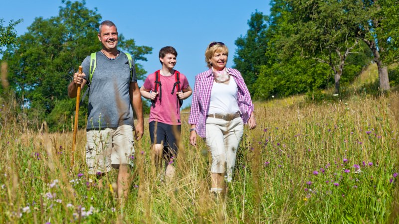 Drei Personen wandern fr&ouml;hlich durch eine bl&uuml;hende Wiese unter blauem Himmel. Sie tragen Freizeitkleidung und Rucks&auml;cke., &copy; Land der 1000 H&uuml;gel - Kraichgau-Stromberg