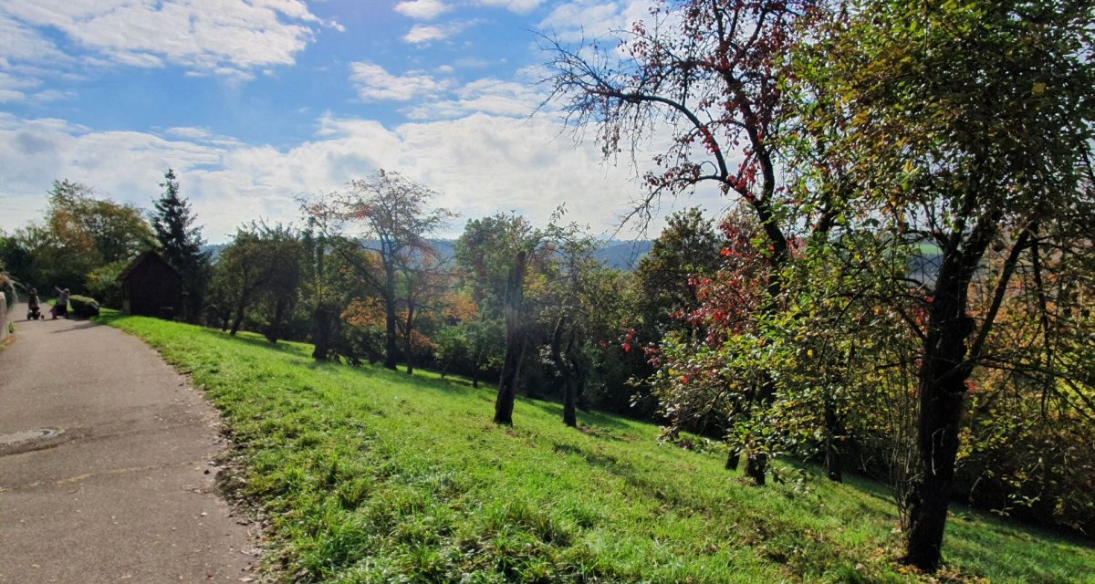 Ein sonniger Herbsttag mit blauem Himmel, Bäumen mit buntem Laub und einem Weg, der durch die Landschaft führt., © Kulturamt PLochingen Ein sonniger Herbsttag mit blauem Himmel, Bäumen mit buntem Laub und einem Weg, der durch die Landschaft führt., © Kulturamt PLochingen