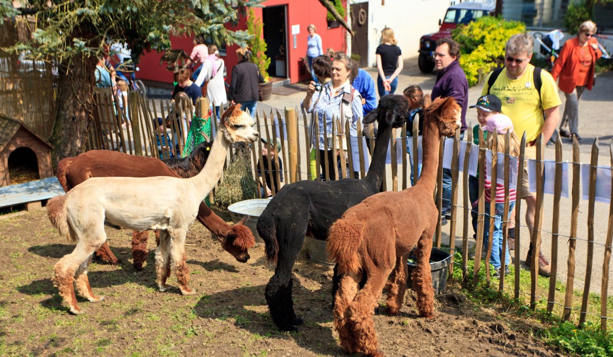 Die Waldm&uuml;hle ist eine junge Einrichtung, die sich auf Tiergest&uuml;tzte Arbeit und Erlebnisp&auml;dagogik konzentriert. Sie befindet sich am Ortsrand von Waiblingen und bietet professionelle Dienstleistungen an, hinter denen viel Motivation, &Uuml;berzeugung und Freude steckt., &copy; WTM GmbH Waiblingen